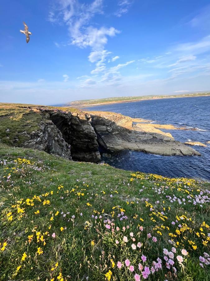 Saint Margarets Hope Peedie Cott Self-Catering, Orkney מראה חיצוני תמונה